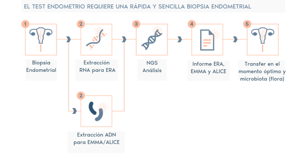 endometrio