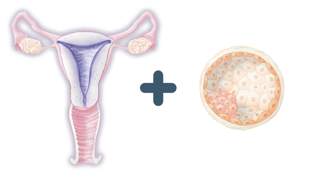 ERA análisis receptividad endometrial